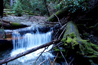 Fall Creek